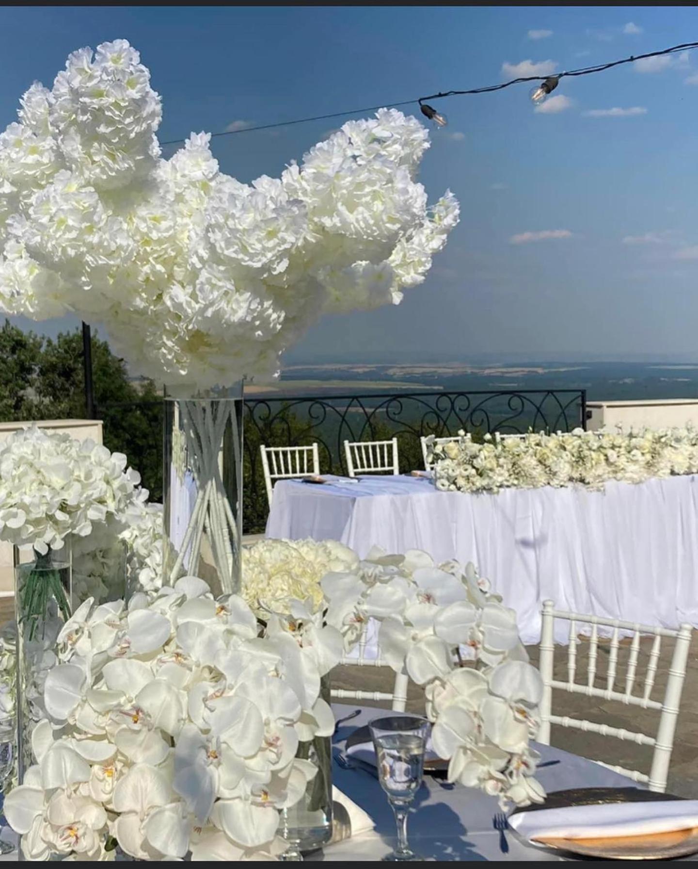 Вила Белисима, Villa Bellissima Bryastovo  エクステリア 写真